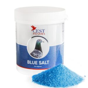 Blue Salt-Sare de baie de calitate superioara