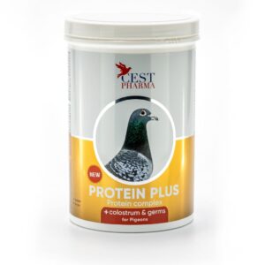 Protein Plus-Este un concentrat proteic suplimentat cu vitamine